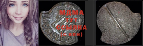 индика Алексин