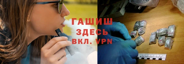 индика Алексин