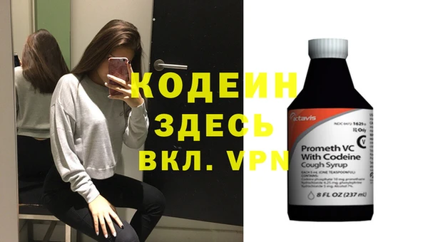 индика Алексин