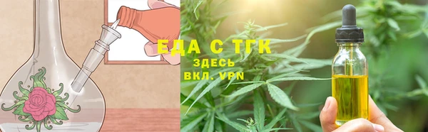 индика Алексин
