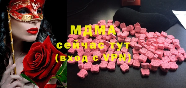 индика Алексин