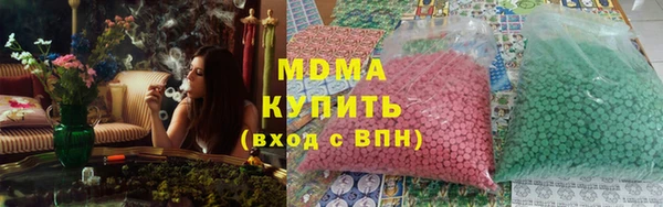 индика Алексин
