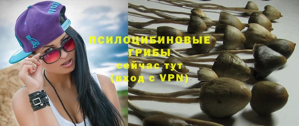 apvp Алексеевка