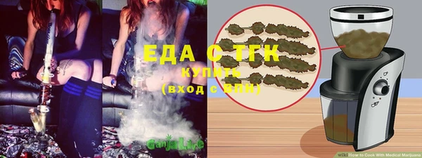 индика Алексин