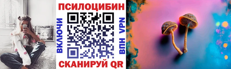 Псилоцибиновые грибы прущие грибы  Хотьково 